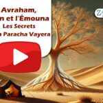 Avraham, Ilan et l’Émouna : Les Secrets de la Paracha Vayera